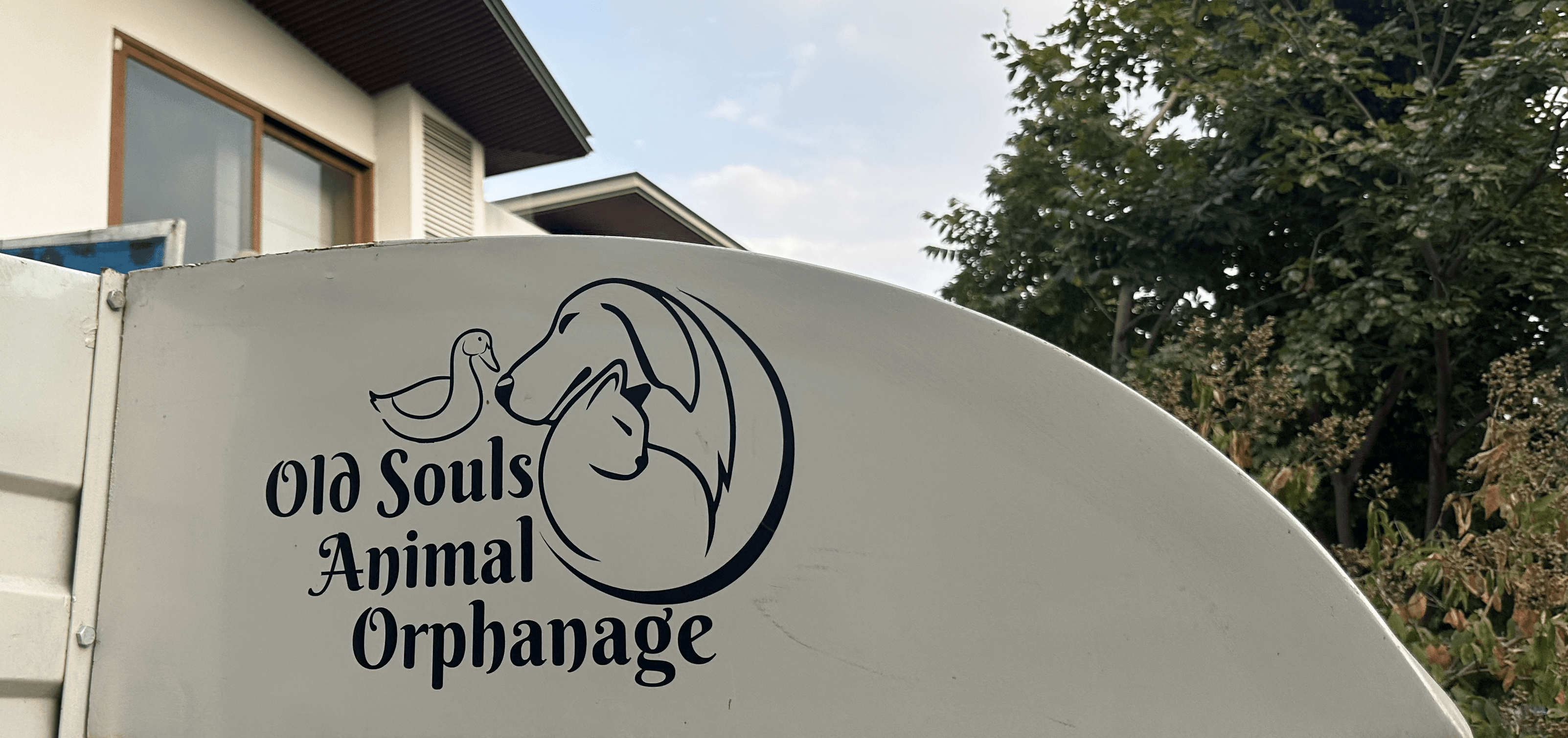 Who We Are - Old Souls Animal Orphanage